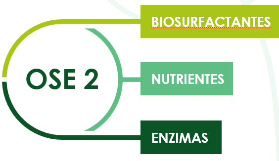 Como Funciona OSE2